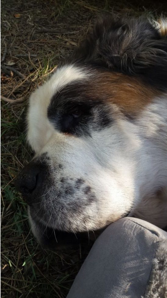 Sweetest face ever, my precious boy!